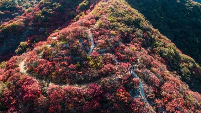 金秋时节层林尽染