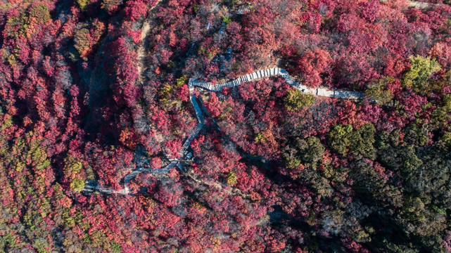 金秋时节层林尽染