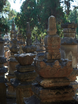 灵岩寺风景区塔林