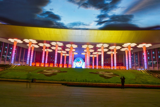 中国国际进口博览会夜景