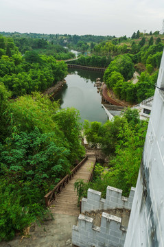 竹林