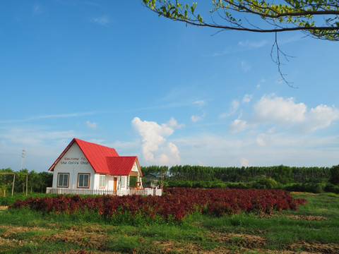 田野木屋