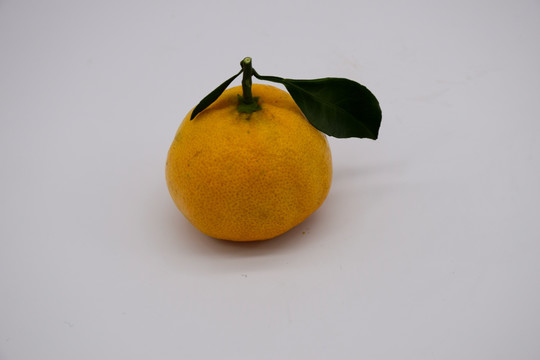 桔子