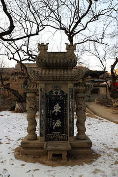 中国红枣名县的千年枣园