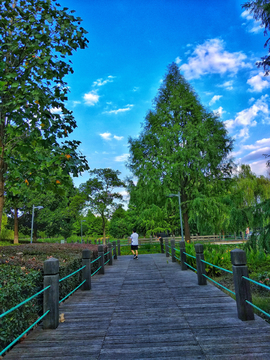 湖畔栈道风景