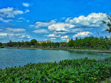 苏州青剑湖风景