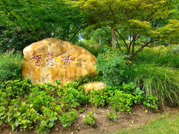 绿化风景