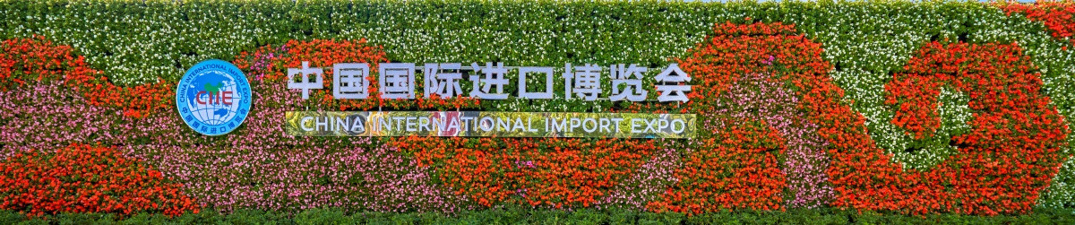 中国国际进口博览会宣传植物墙