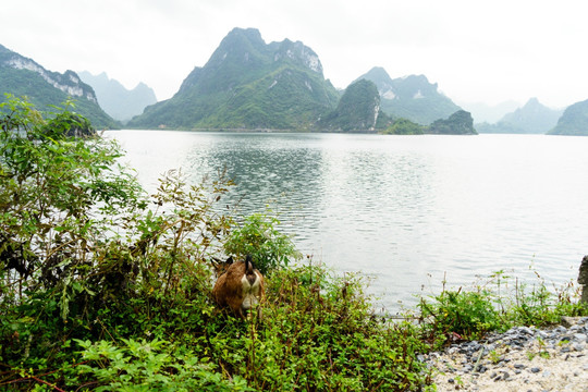 广西南宁上林大龙湖风光