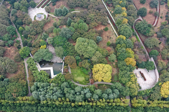 洛阳隋唐遗址植物园