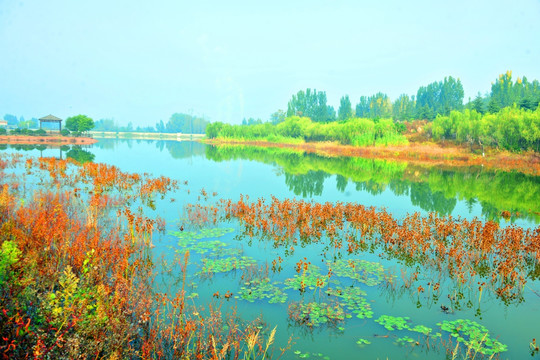 秋天湖畔风景