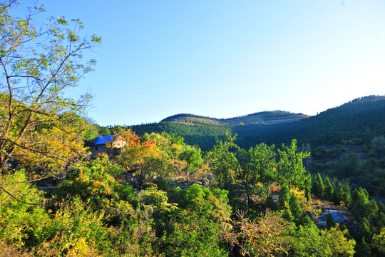 大山秋景