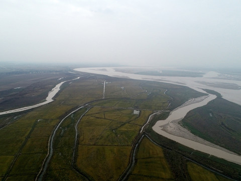 黄河湿地