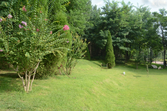 景点