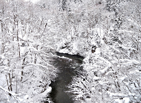 冬天小溪