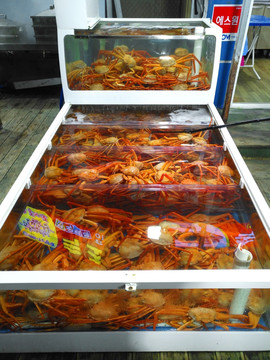 韩国束草特产红螃蟹餐厅