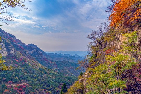 淄博潭溪山风景秋天