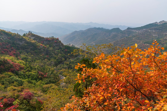 淄博潭溪山秋天风景