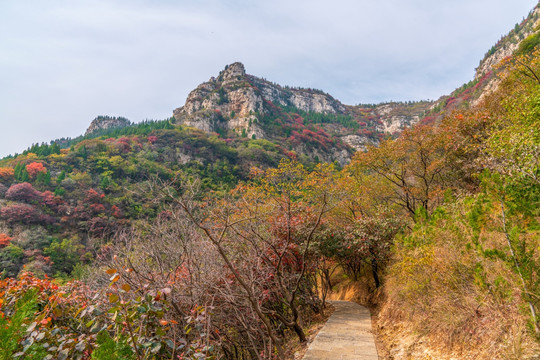 淄博潭溪山秋天风景