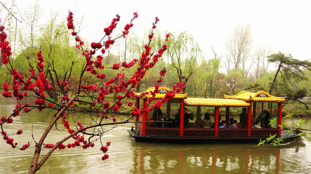 扬州瘦西湖游船春景