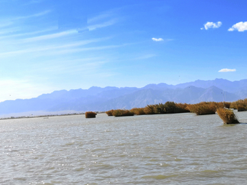 沙湖美景 贺兰山水景 芦苇