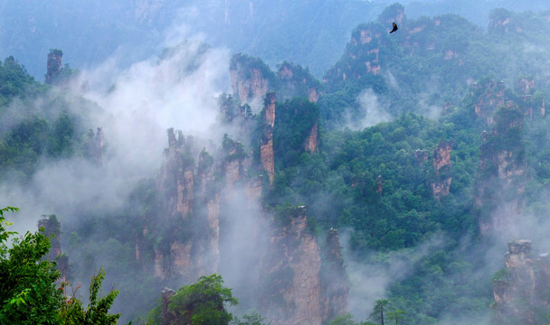 张家界高清全景图