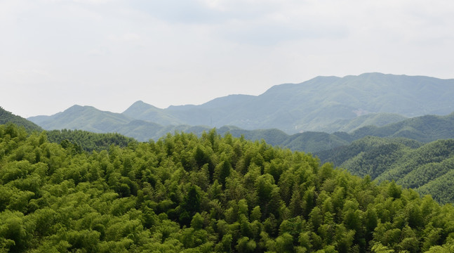 起伏的山峦