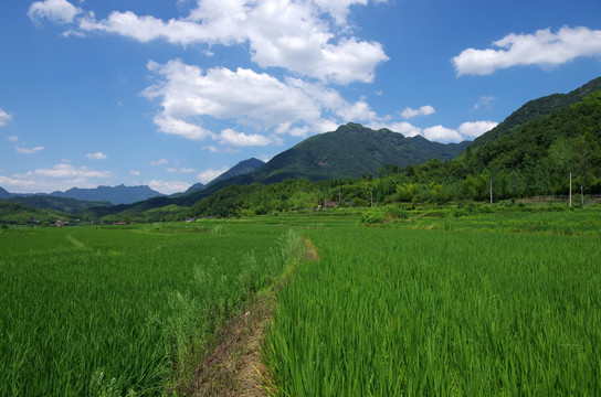 皖南小川藏线沿途风光