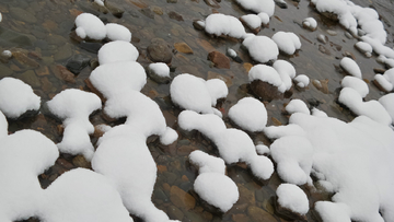 呼伦贝尔秋雪