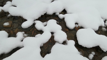 呼伦贝尔秋雪