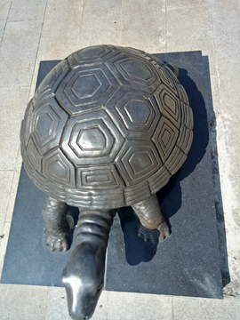 乌龟 塑像