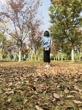 少女树林秋
