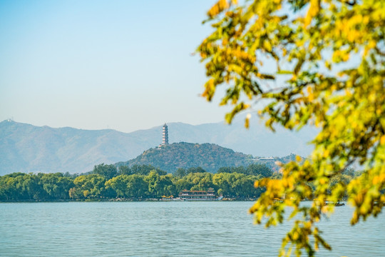 玉峰塔