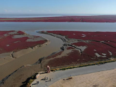 红海滩湿地航拍