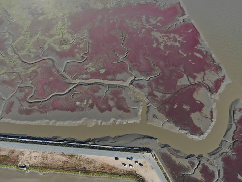 河口湿地航拍