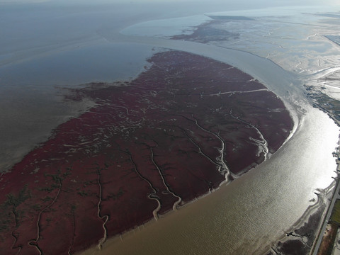 红海滩湿地航拍