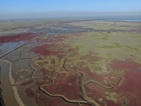 红海滩湿地航拍