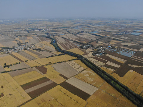 秋季稻田湿地航拍