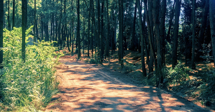道路