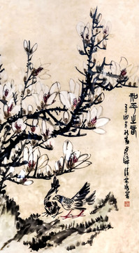 国画鸽子玉兰花