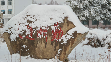 呼伦贝尔秋雪