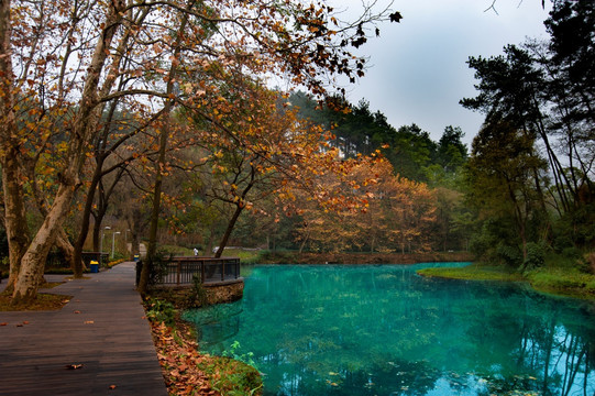 贵阳小车河湿地公园超清大图