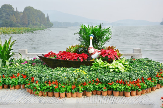 湖泊大白鹅花船花艺景观