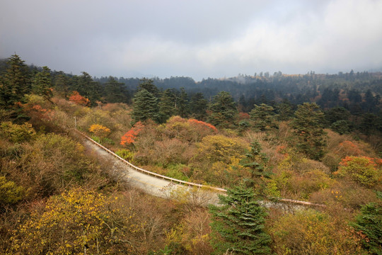 峨眉山秋色云海