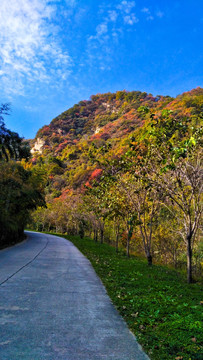 秦岭山间小道