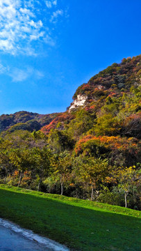 醉美秋景秦岭