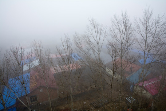 雾中小村庄