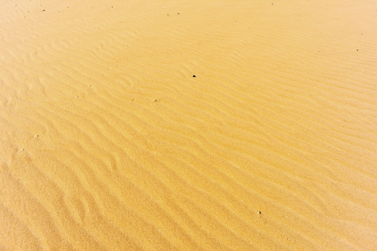 沙子波纹