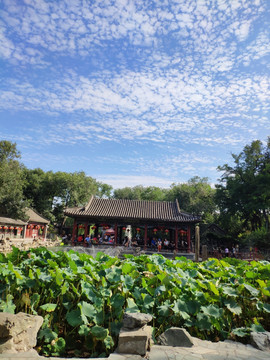 恭王府花园
