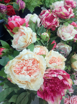 玫瑰花与牡丹